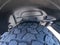 2021 Jeep Wrangler Unlimited 80th Anniversary 4x4